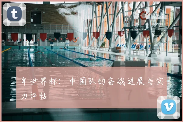 年世界杯:中国队的备战进展与实力评估