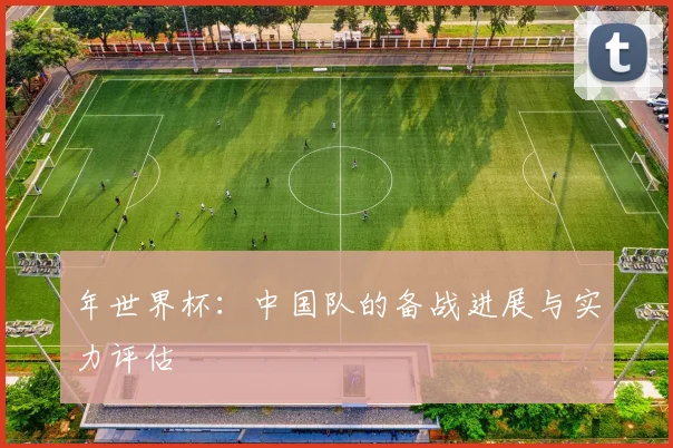 年世界杯:中国队的备战进展与实力评估